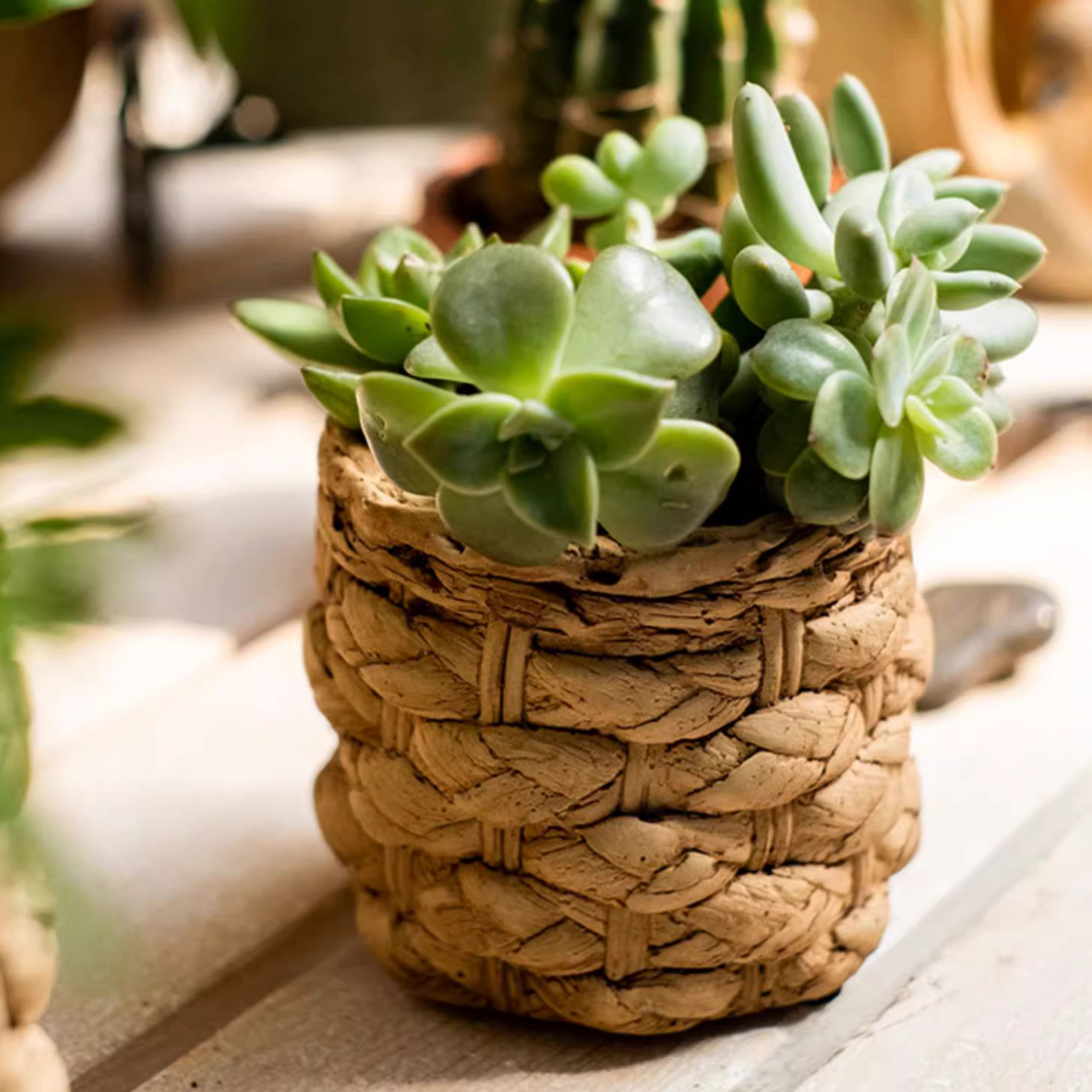 Grass Woven Looking Cement Planter