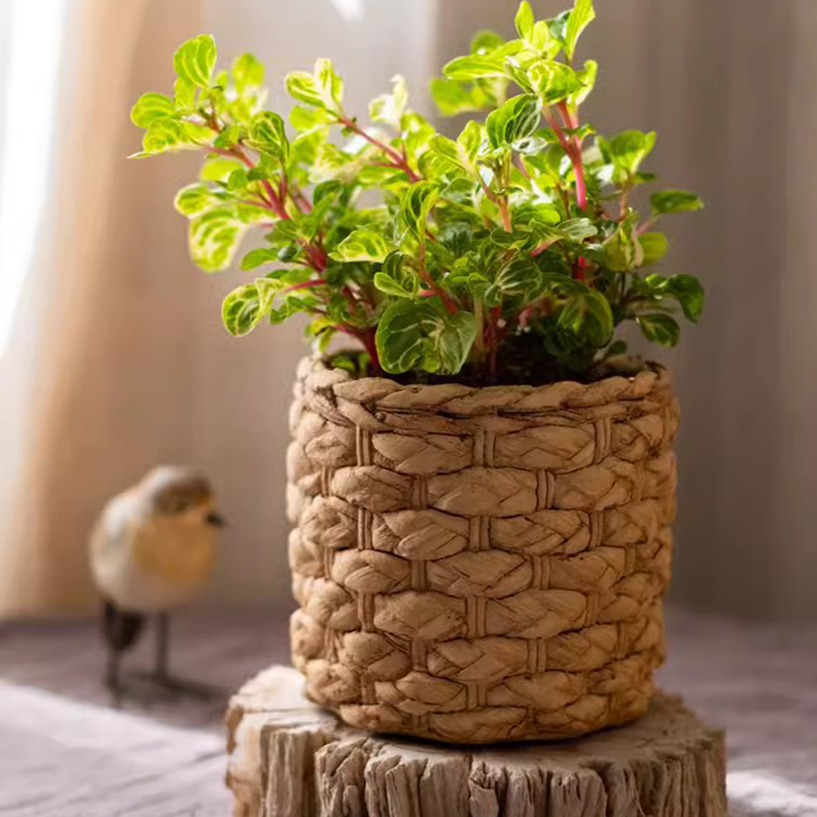 Grass Woven Looking Cement Planter