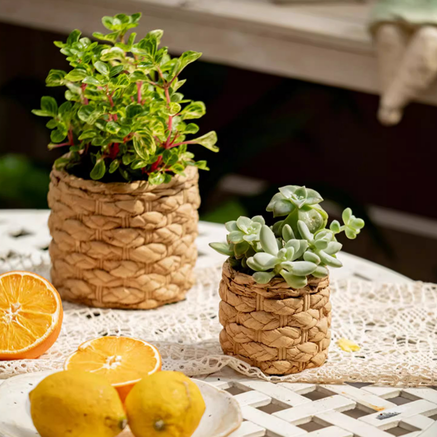 Grass Woven Looking Cement Planter
