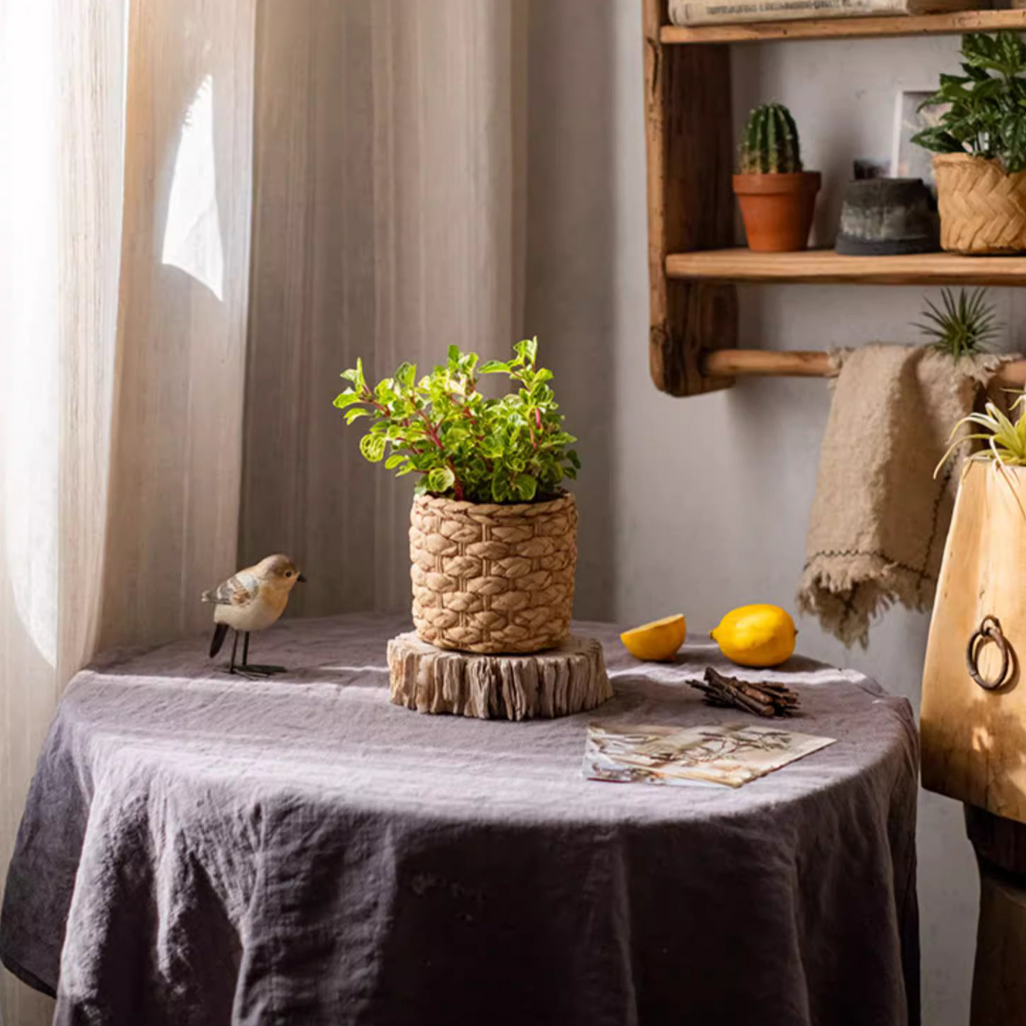 Grass Woven Looking Cement Planter