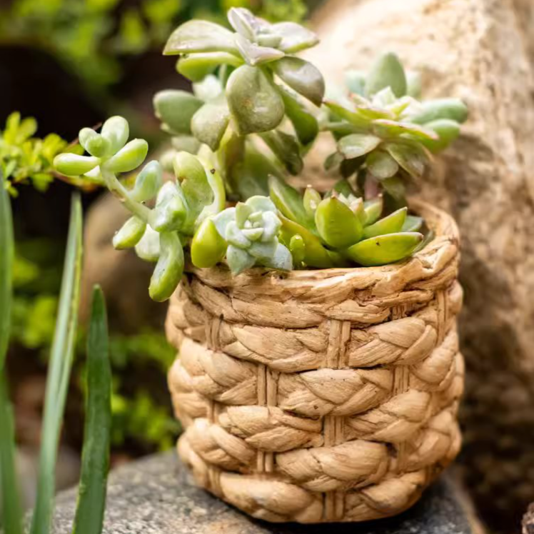 Grass Woven Looking Cement Planter