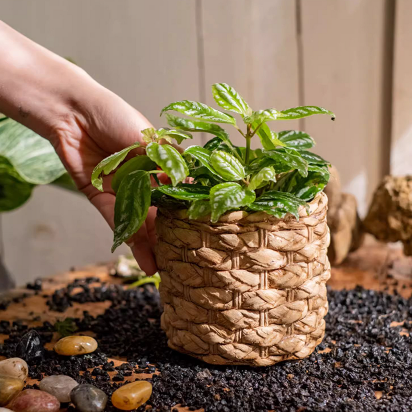 Grass Woven Looking Cement Planter