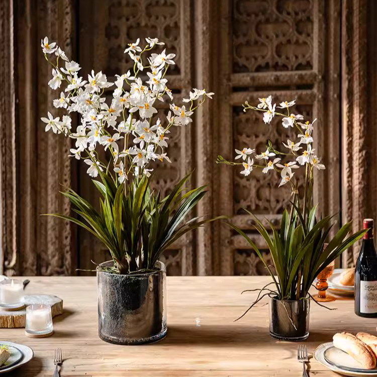 White Hui Lan Orchid in Glass Pot