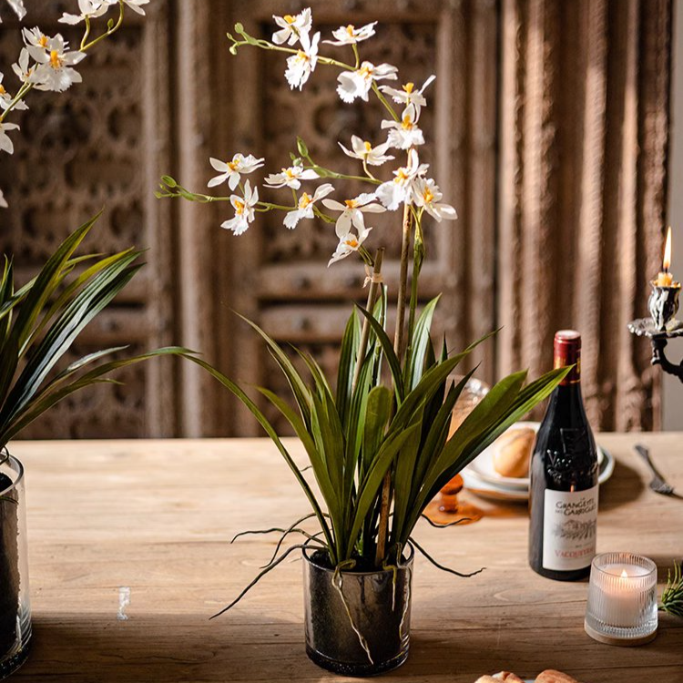 White Hui Lan Orchid in Glass Pot