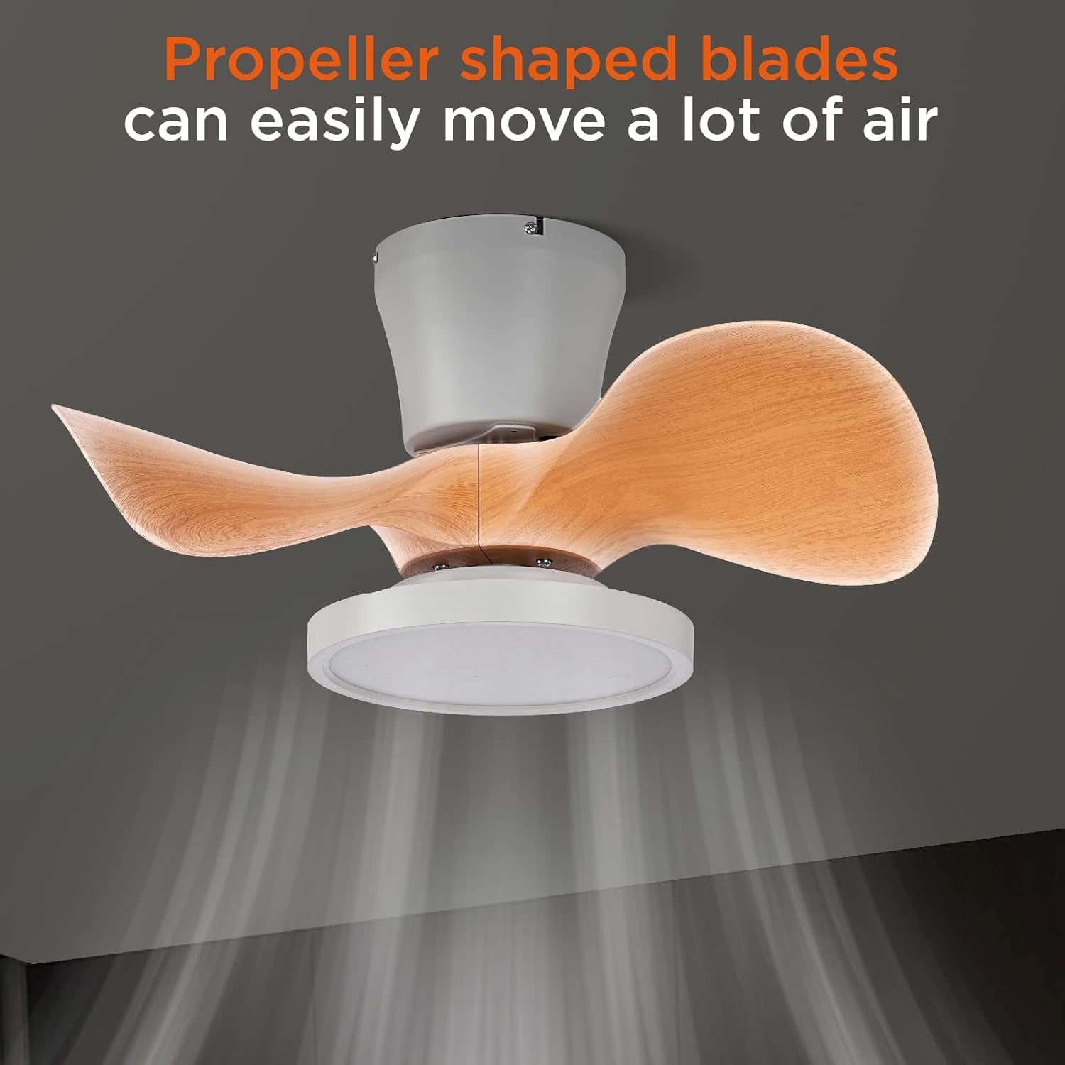 Quiet Ceiling Fan with LED Light 22 Inch Large Air Volume Remote - Festival Furnish