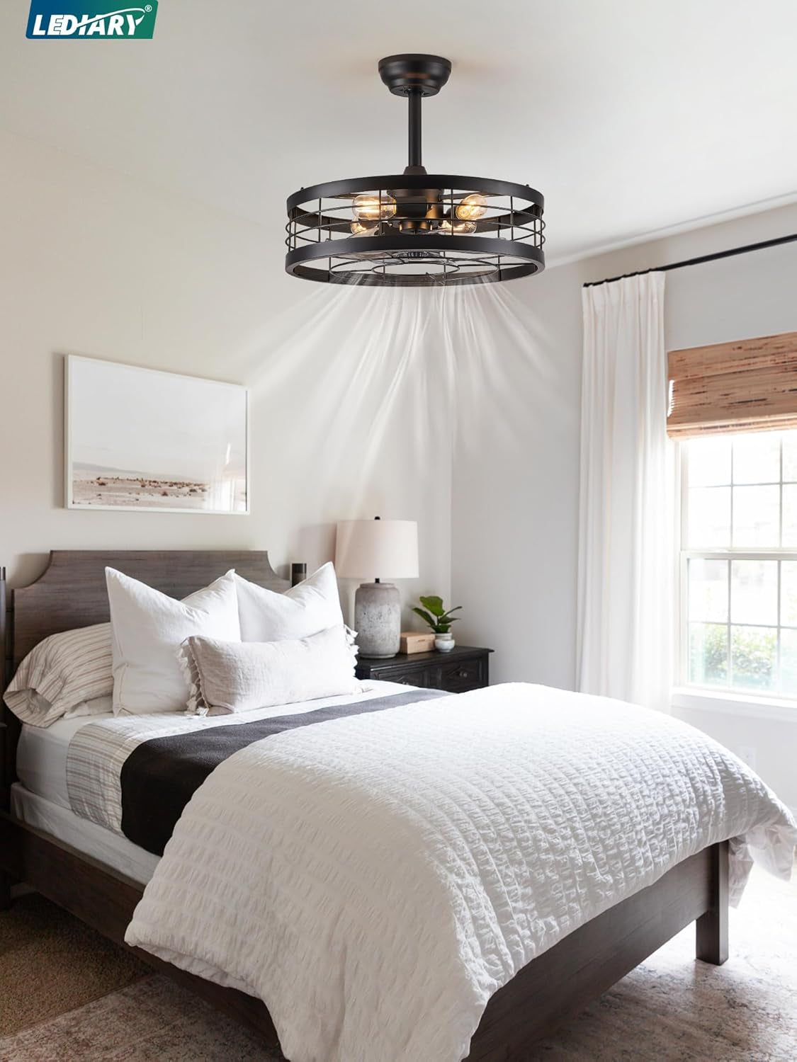 20 Inch Fandelier Caged Ceiling Fan with Light, Bladeless Ceiling Fan