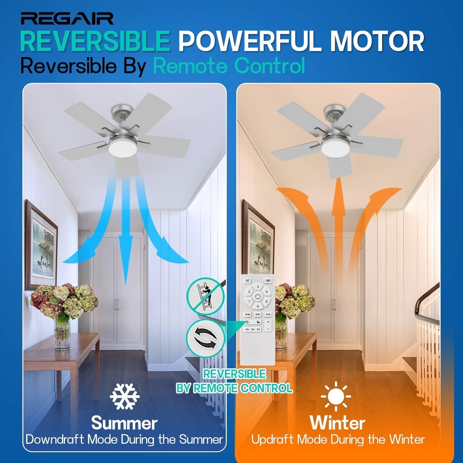 Ceiling Fan 32 Inch, Remote Control DC Motors, 3CCT 3000K-4000K-6500K - Festival Furnish