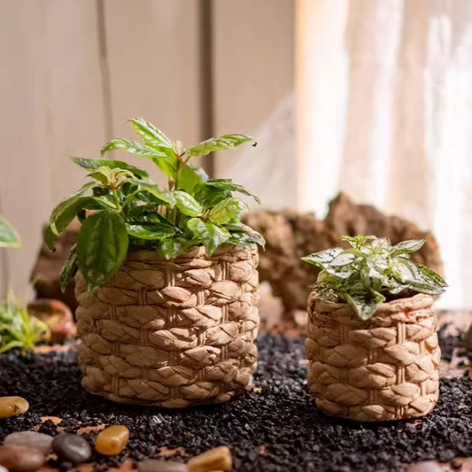 Grass Woven Looking Cement Planter