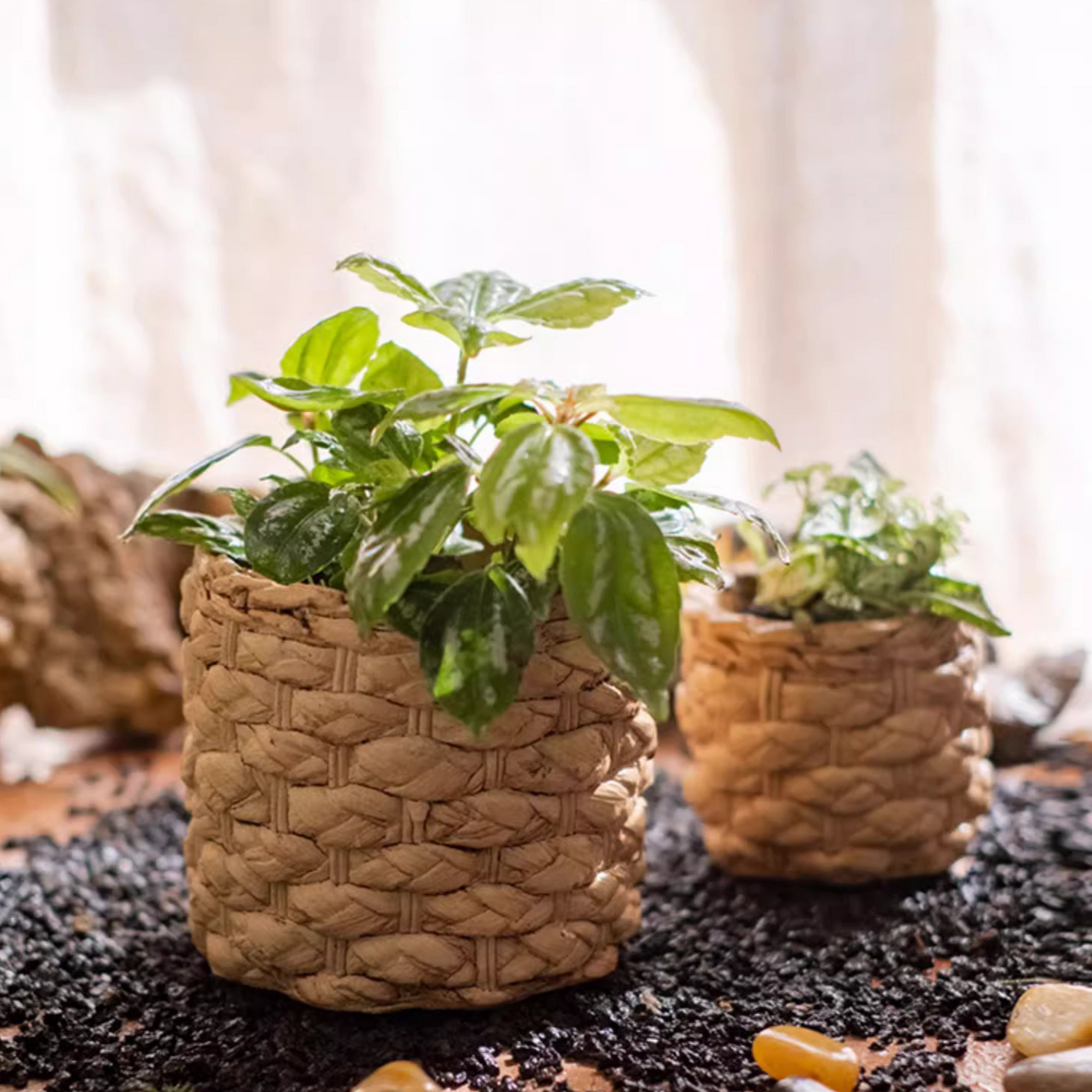 Grass Woven Looking Cement Planter