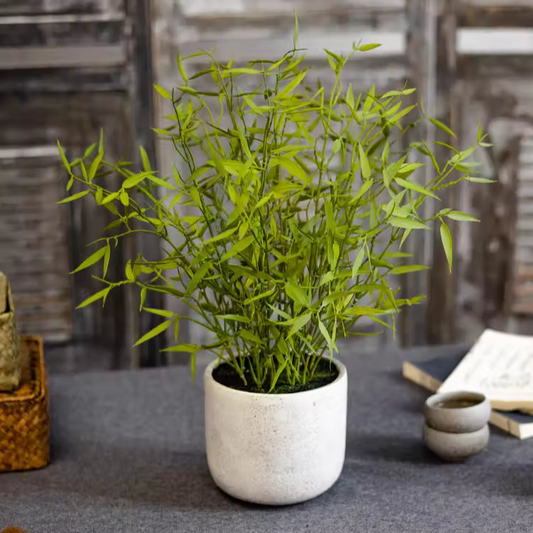 Realistic Mini Bamboo Leaf Potted Plant